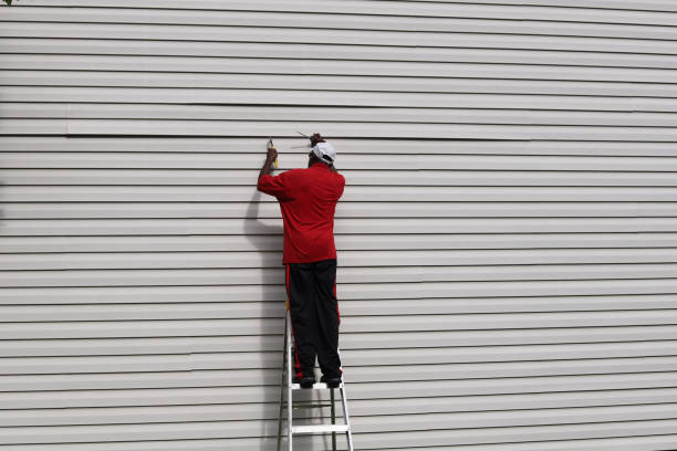Best Siding Removal and Disposal  in Karns, TN
